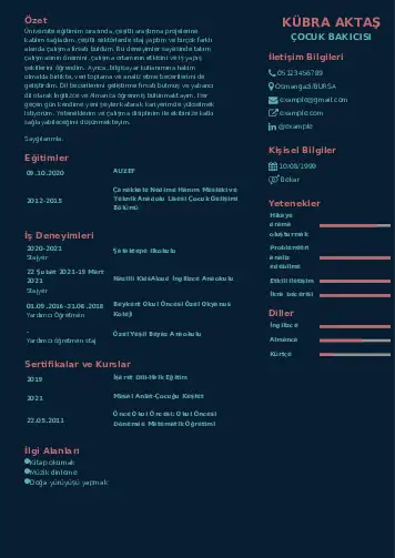 Çocuk Bakıcısı CV Örnekleri cv indir